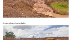 PT PANDU URANE PERKASA BANTAH TUDINGAN PENAMBANGAN ILEGAL DAN AKTIVITAS DI KAWASAN HUTAN
